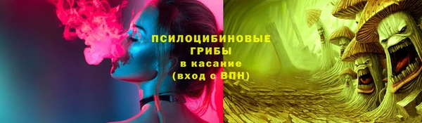спиды Богданович