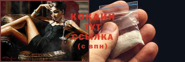 прущий лед Богородицк