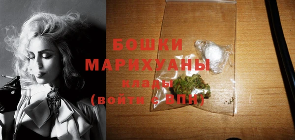 спиды Богданович