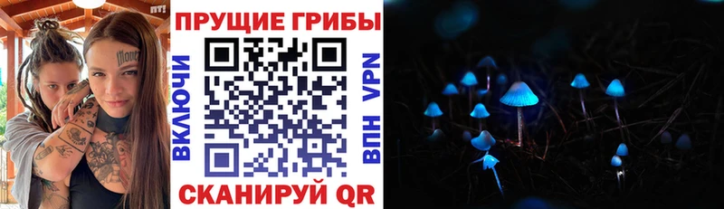 Псилоцибиновые грибы Magic Shrooms  Котлас 